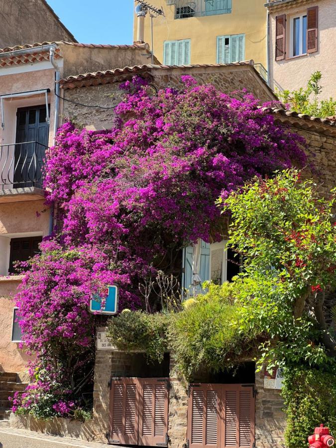 maison vacance Médiévale Bormes-les-Mimosas village Extérieur photo